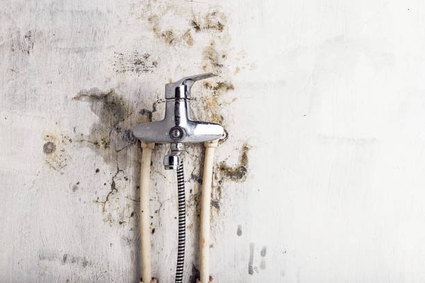 Best Office Mold Removal Services  in East Merrimack, NH